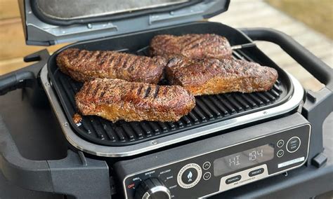 What other foods can be grilled on the Ninja outdoor grill besides meat and vegetables?