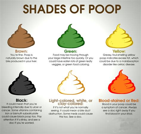 What the Color of Your Poop Says About Your Health