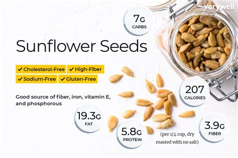 Accompaniment - Sunflower Seeds - calories, carbs, nutrition