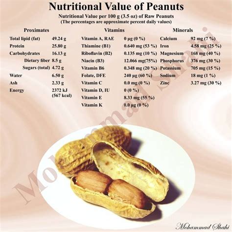 Airplane Peanuts - calories, carbs, nutrition