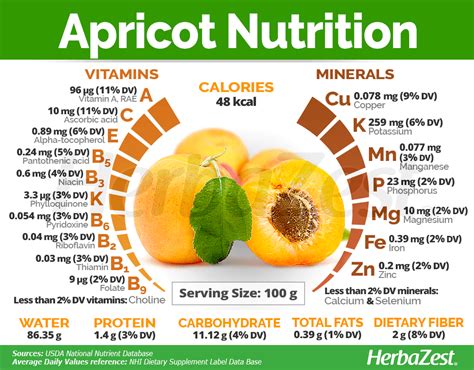 Apricot - calories, carbs, nutrition