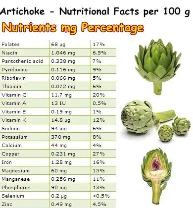 Artichokes, Fresh - calories, carbs, nutrition