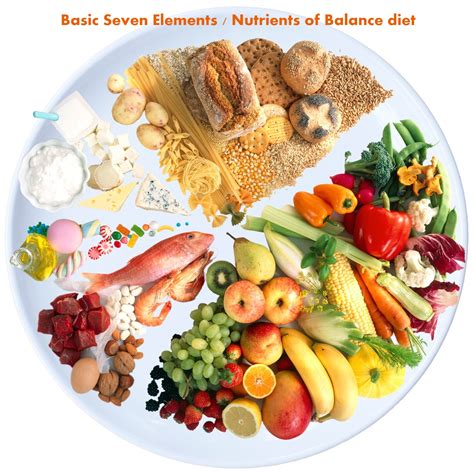 Balance - calories, carbs, nutrition