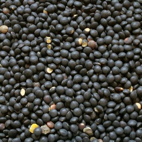 Black Beluga Lentils (12726.7) - calories, carbs, nutrition