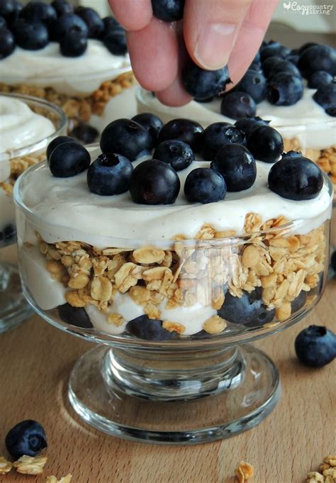 Blueberry Granola Yogurt Parfait - calories, carbs, nutrition