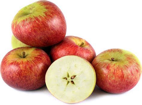 Braeburn Apple - 1 Medium - calories, carbs, nutrition