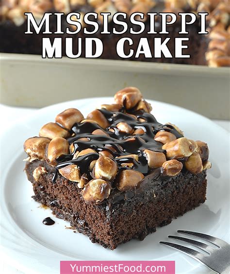 Cake Mississippi Mud SLC=8x8 - calories, carbs, nutrition