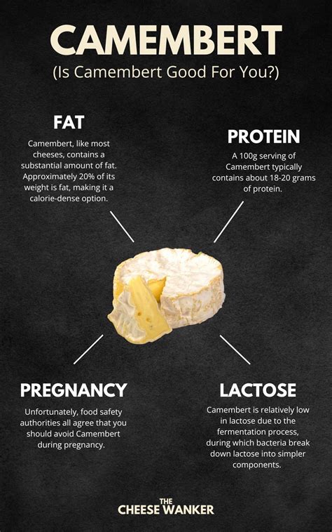 Cheese, camembert - calories, carbs, nutrition