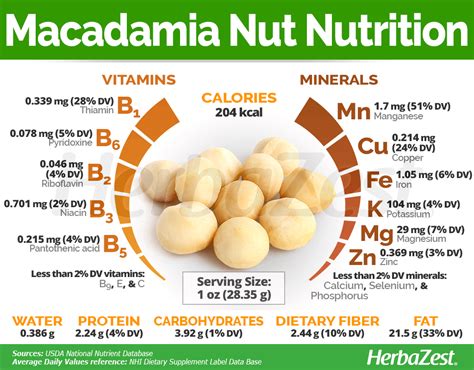 Chewy Macadamia Nut VG GF - calories, carbs, nutrition