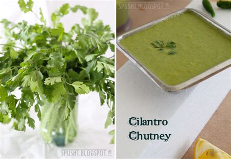 Chutney Cilantro Monsoon 2 Tbsp - calories, carbs, nutrition