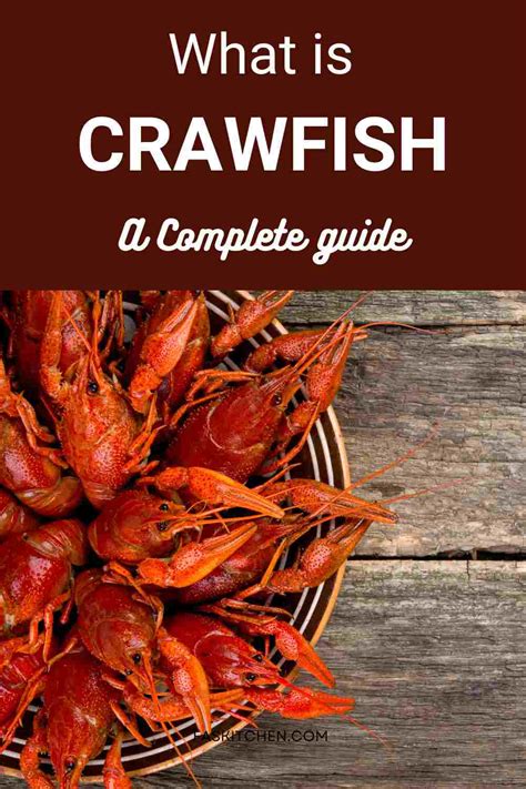 Crayfish - calories, carbs, nutrition