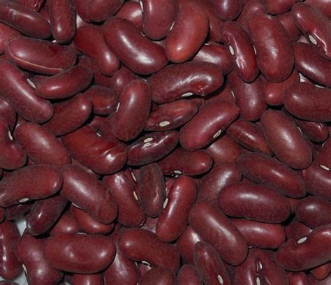 Dark Red Kidney Beans (63338.5) - calories, carbs, nutrition