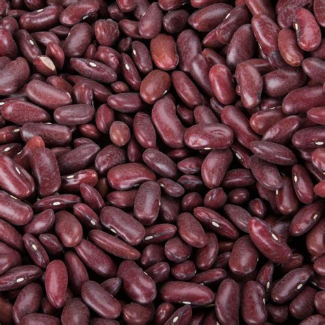 Dark Red Kidney Beans (81155.1) - calories, carbs, nutrition