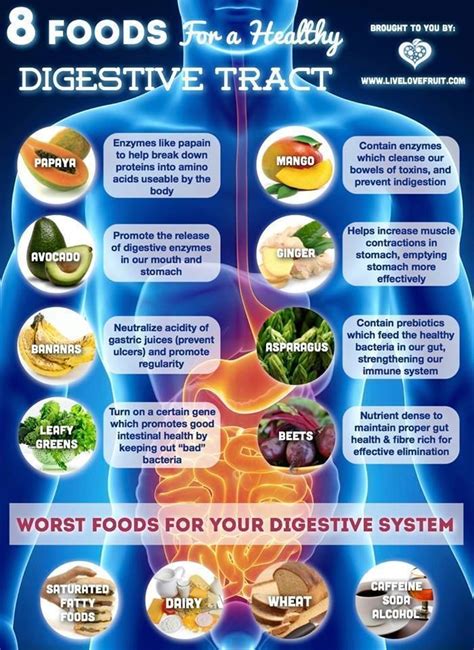 Digestive Health - calories, carbs, nutrition