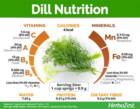Dill - calories, carbs, nutrition