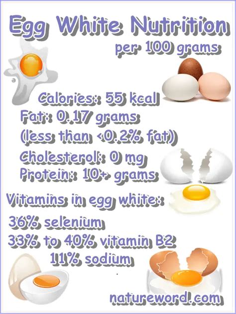 Egg Salad on White - calories, carbs, nutrition