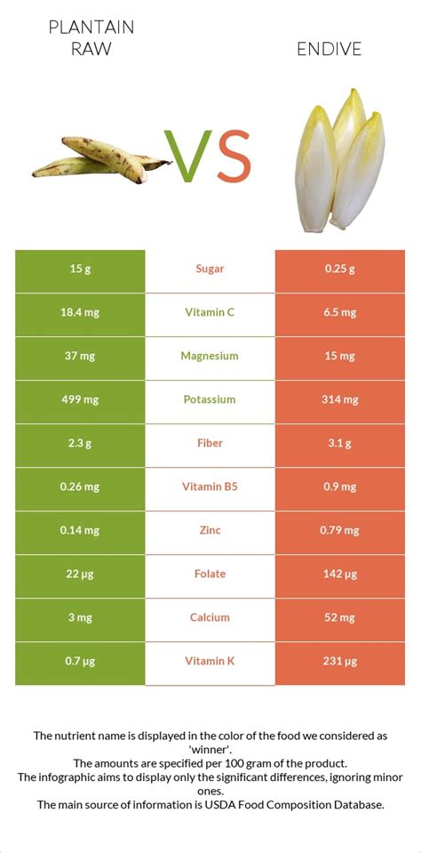 Endive, raw - calories, carbs, nutrition