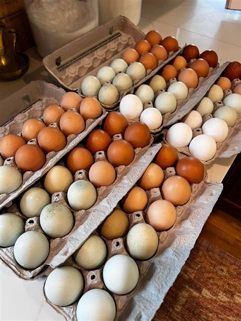 Farm Fresh Eggs - calories, carbs, nutrition