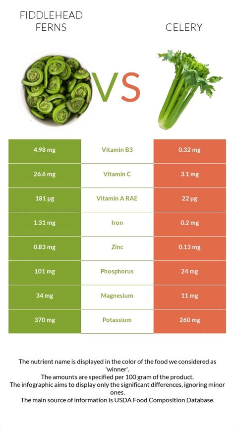 Fiddlehead Ferns - calories, carbs, nutrition