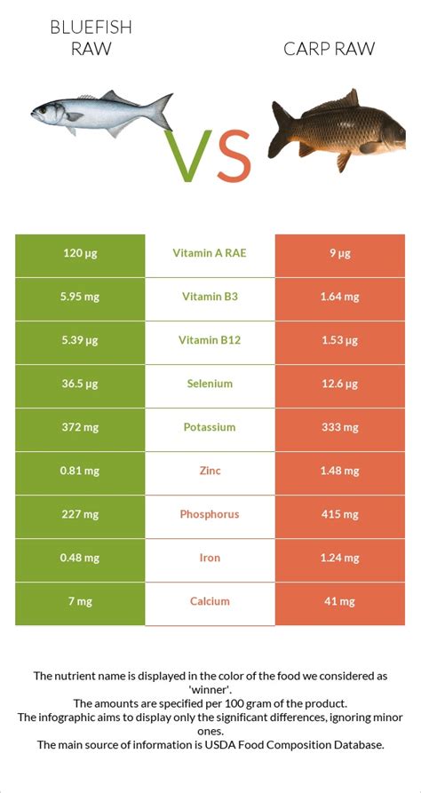 Fish, carp, raw - calories, carbs, nutrition