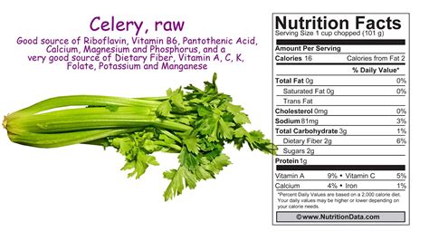 Fresh Celery Sticks - calories, carbs, nutrition