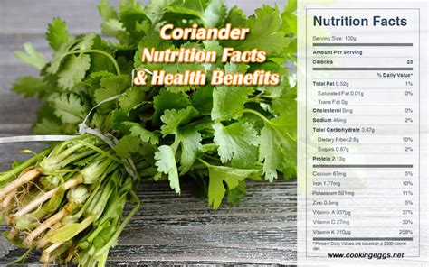 Fresh Coriander - calories, carbs, nutrition