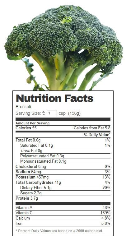 Fresh Steamed Broccoli Florets - calories, carbs, nutrition