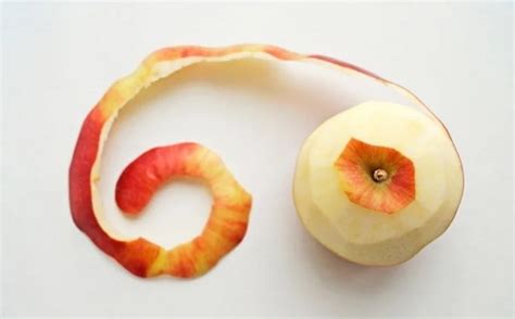 Fruit Peel - calories, carbs, nutrition