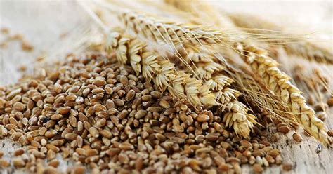 Grains First - calories, carbs, nutrition