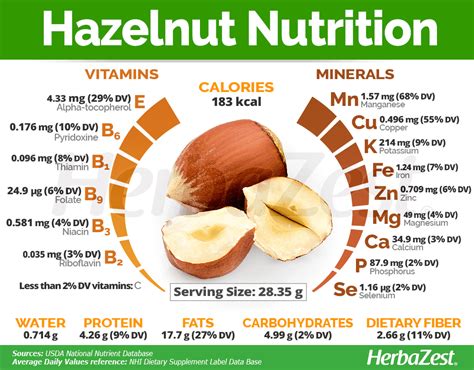 Hazelnut - calories, carbs, nutrition