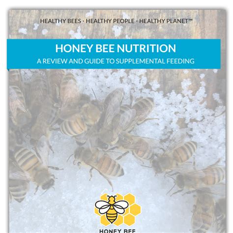 Honey Bee & Nana - calories, carbs, nutrition