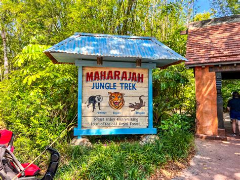 Jungle Trekker - calories, carbs, nutrition