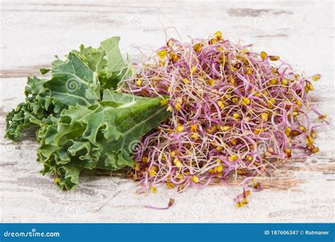 Kale Sprouts - calories, carbs, nutrition