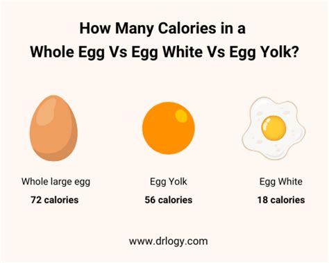 Large White Grade A Eggs - calories, carbs, nutrition