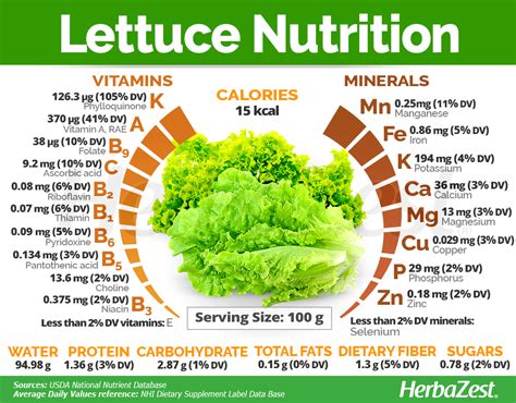 Lettuce - calories, carbs, nutrition