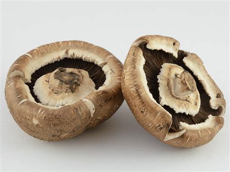 Marinated Portobello Mushrooms - calories, carbs, nutrition