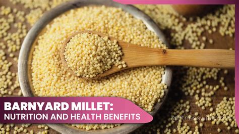 Millet Casserole - calories, carbs, nutrition