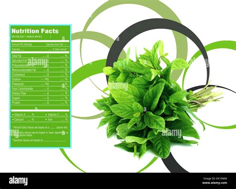 Mint - calories, carbs, nutrition