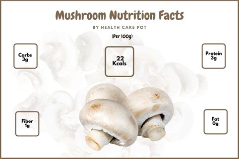 Mixed Mushroom Snack Pot - calories, carbs, nutrition