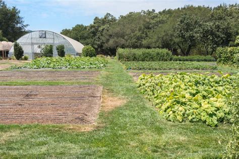 Napa Valley Garden Vegetables - calories, carbs, nutrition