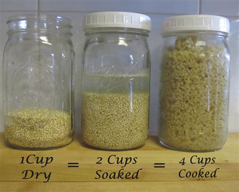 Noodle Cellophane Cooked Basic Method 1/2 Cup - calories, carbs, nutrition
