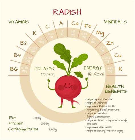 Radishes, raw - calories, carbs, nutrition