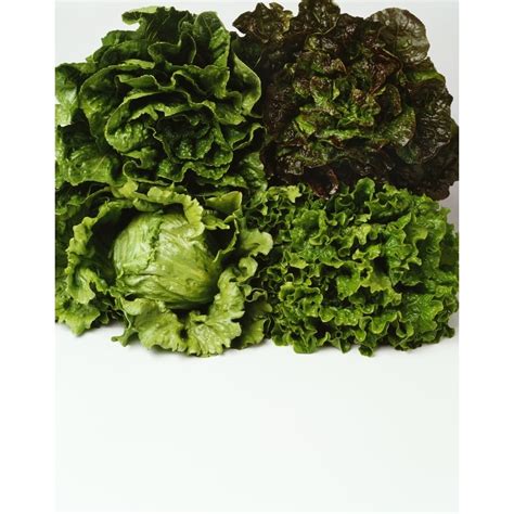 Red & Green Leaf & Iceberg - calories, carbs, nutrition