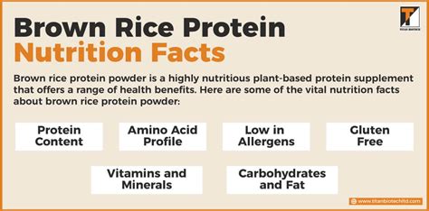 Rice Protein Powder - calories, carbs, nutrition