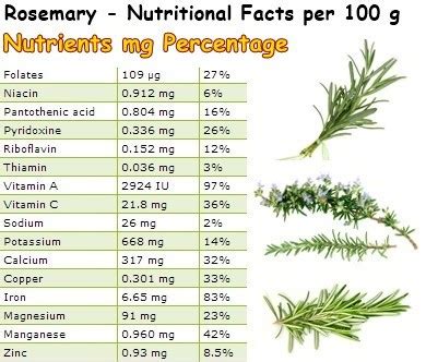 Rosemary - calories, carbs, nutrition