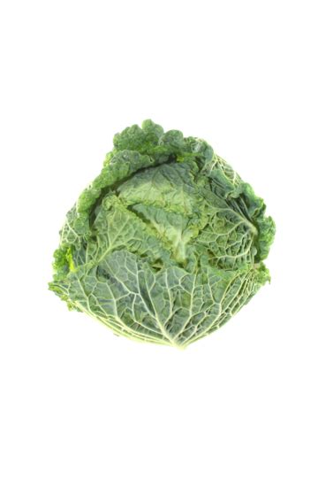 Savoy Cabbage, Fresh - calories, carbs, nutrition