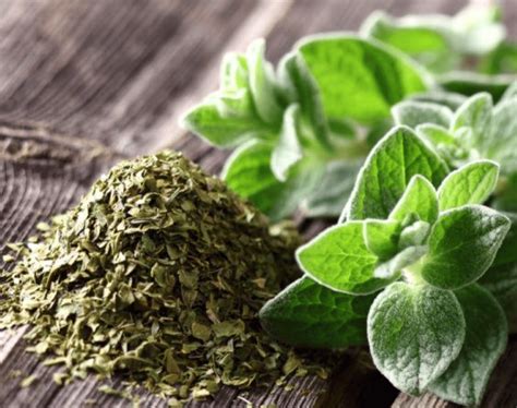 Spice Oregano Leaf Dried 1 oz - calories, carbs, nutrition