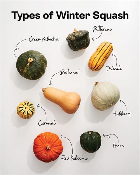 Squash, winter, all varieties, raw - calories, carbs, nutrition