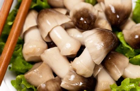 Straw Mushrooms (74415.0) - calories, carbs, nutrition