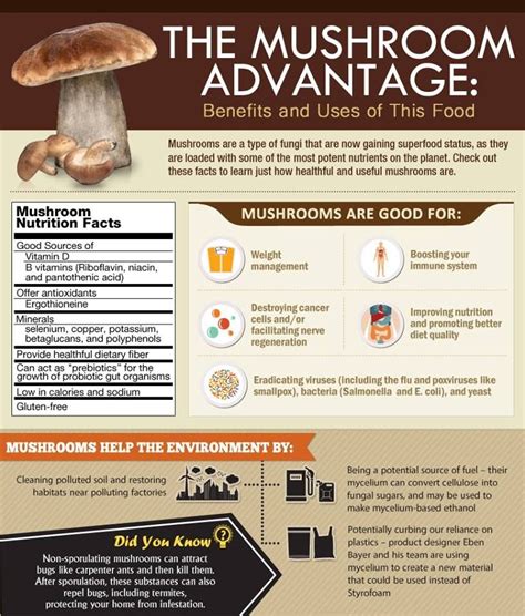 Stuffed Mushrooms - calories, carbs, nutrition